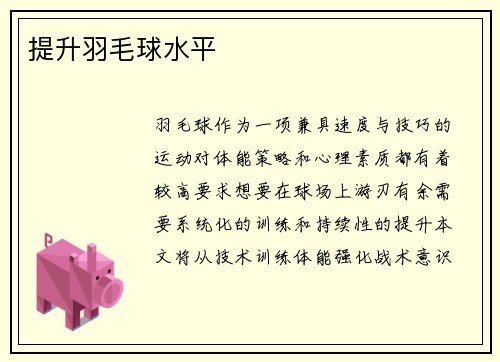 提升羽毛球水平